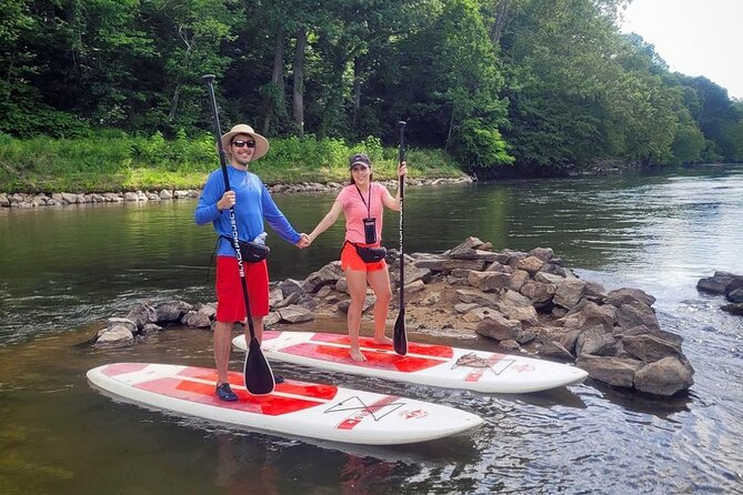 7 Mile Guided Paddleboard Tour On The French Broad River in Asheville - Seven miles of current, trees, and open river views
