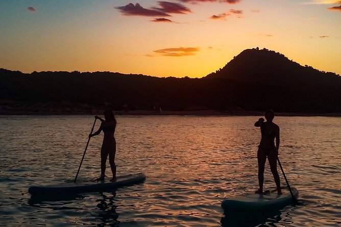 90' Stand Up Paddle tour in a small group in Cala Ratjada - Seeing Cala Ratjada from the sea