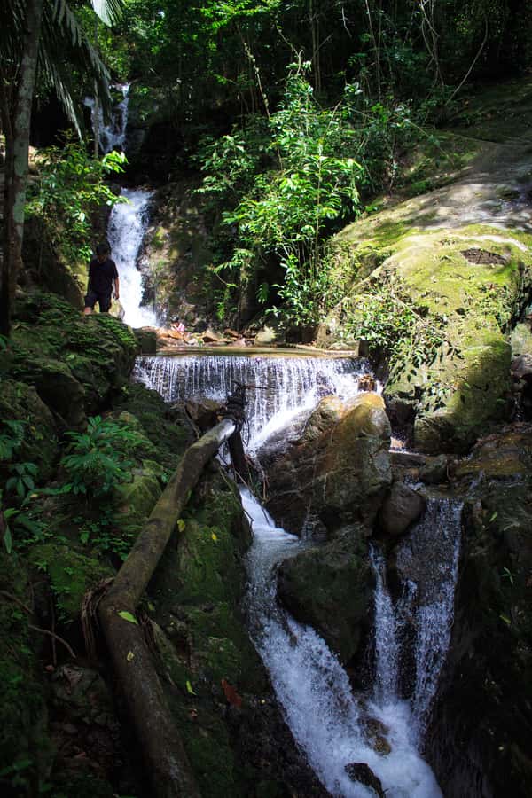 A Jungle-to-Sea Kayaking & Trekking Adventure in Phuket - Key points at a glance