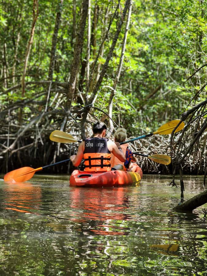 A Jungle-to-Sea Kayaking & Trekking Adventure in Phuket - Kayaking through Bang Rong’s mangroves