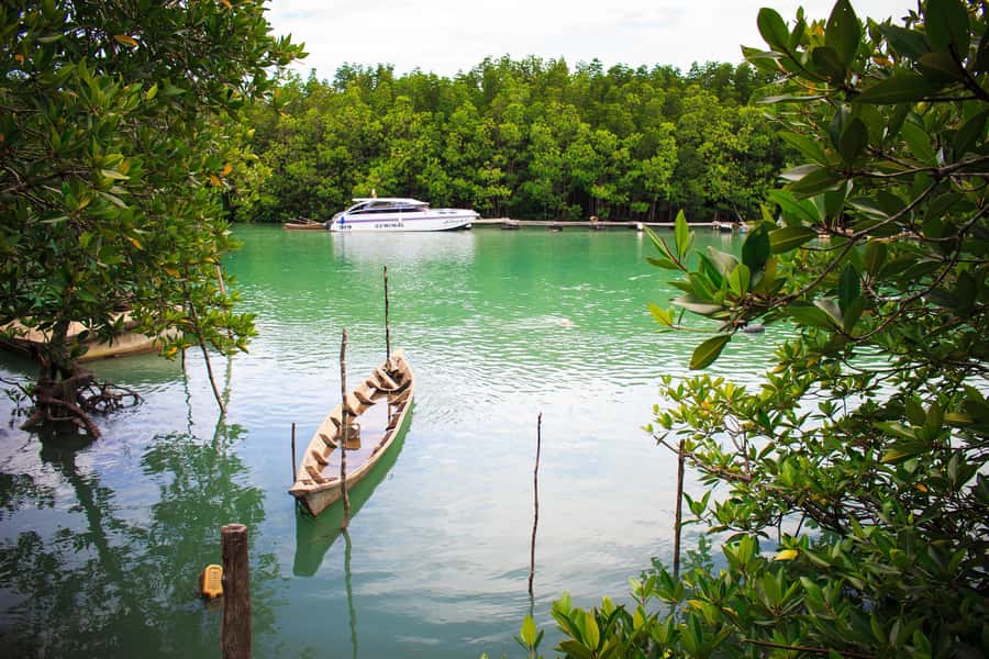 A Jungle-to-Sea Kayaking & Trekking Adventure in Phuket - Wildlife spotting requires a slower eye