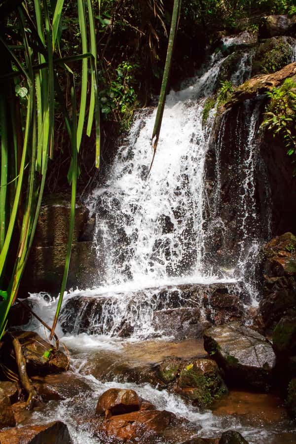 A Jungle-to-Sea Kayaking & Trekking Adventure in Phuket - What the $86 price really covers
