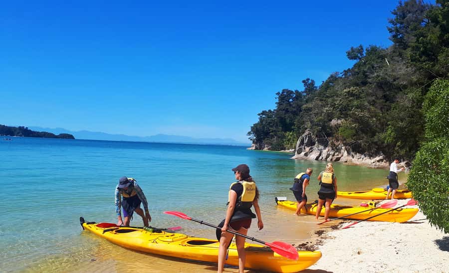 Abel Tasman Kayaks: 1 Day Freedom Kayak Rental - The return to Marahau