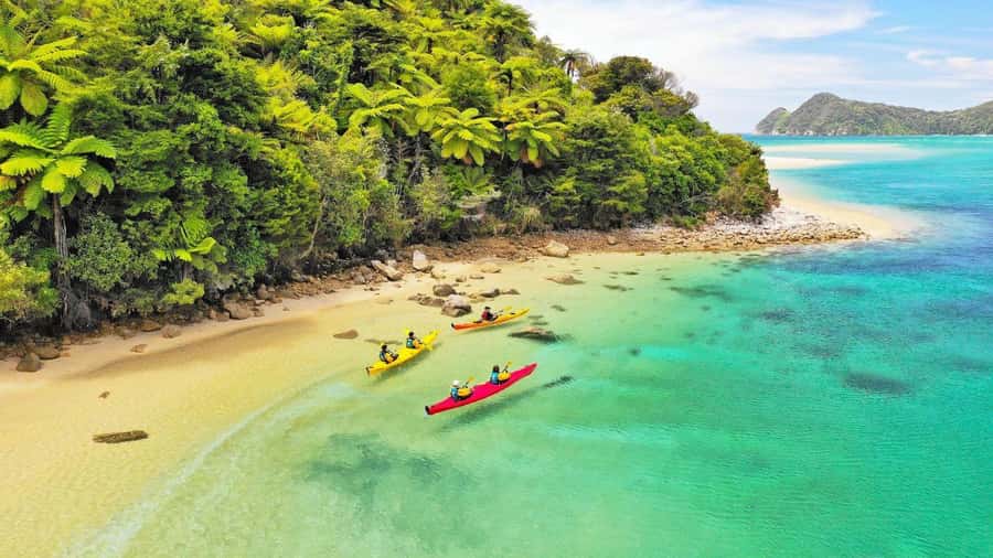 Abel Tasman National Park: Cruise, Kayak, & Hike Tour - Two and a half hours by kayak near Adele Island