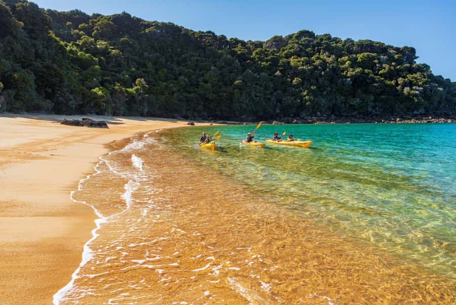 Abel Tasman National Park: Cruise, Kayak, & Hike Tour - The return boat ride and Nelson transfer