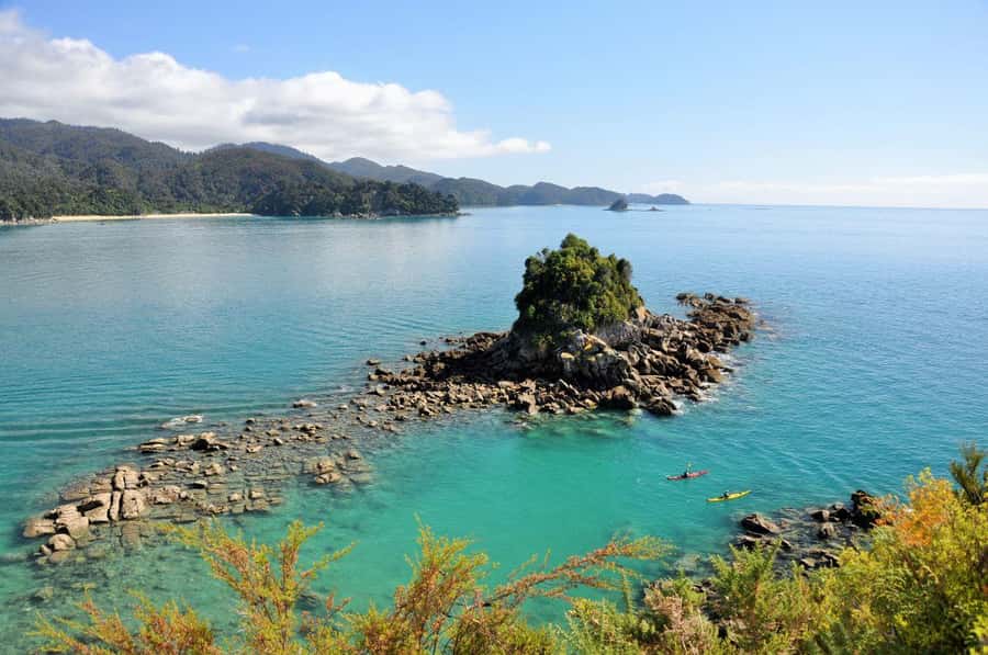 Abel Tasman National Park: Cruise, Kayak, & Hike Tour - Who should book this day in Abel Tasman
