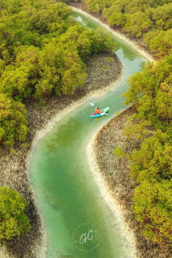 Abu Dhabi: Reem Central Park 2-hour Guided Kayak Tour - What your guide adds to the paddle