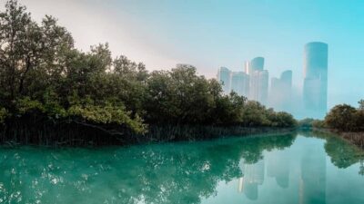 Abu Dhabi: Reem Central Park 2-hour Guided Kayak Tour