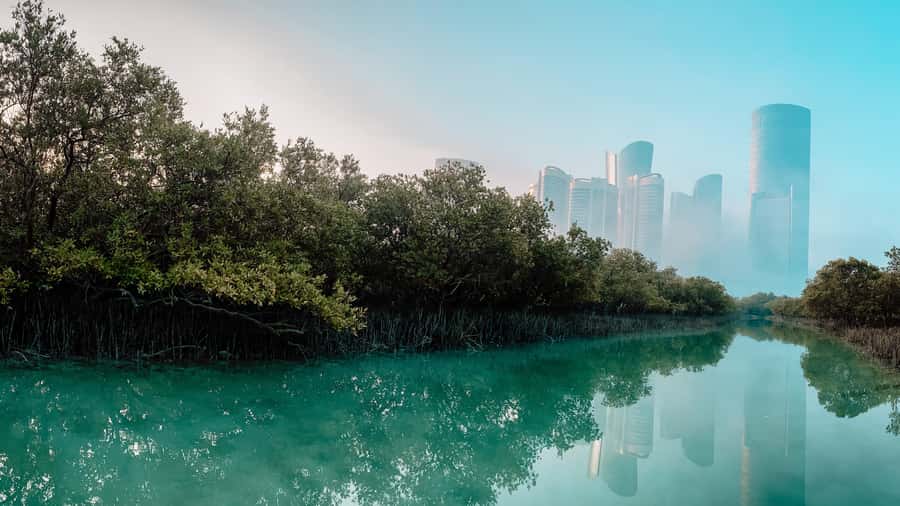 Abu Dhabi: Reem Central Park 2-hour Guided Kayak Tour - The city slips behind the mangroves