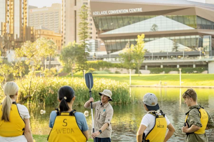 Adelaide: City Kayaking Experience - Starting beside the River Torrens at Pinky Flat
