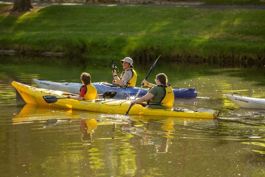 Adelaide: City Kayaking Experience - The value of the $55 price