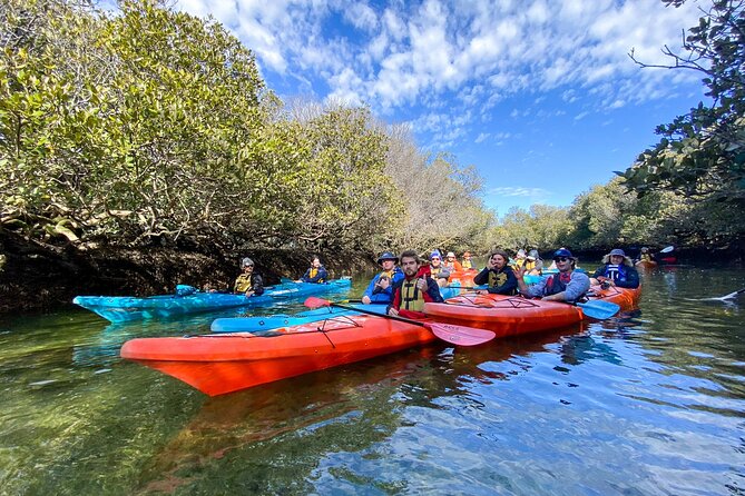 Adelaide Dolphin Sanctuary and Ships Graveyard Kayak Tour - Key points to know before you book