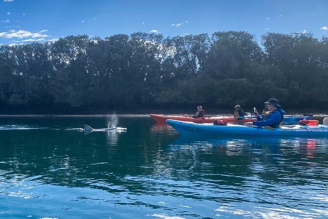 Adelaide Dolphin Sanctuary and Ships Graveyard Kayak Tour - Getting comfortable in a sit-in kayak