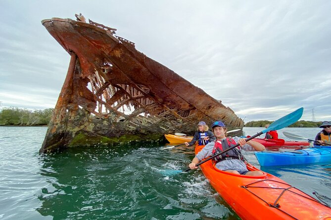 Adelaide Dolphin Sanctuary and Ships Graveyard Kayak Tour - The Garden Island Ships Graveyard Maritime Heritage Trail