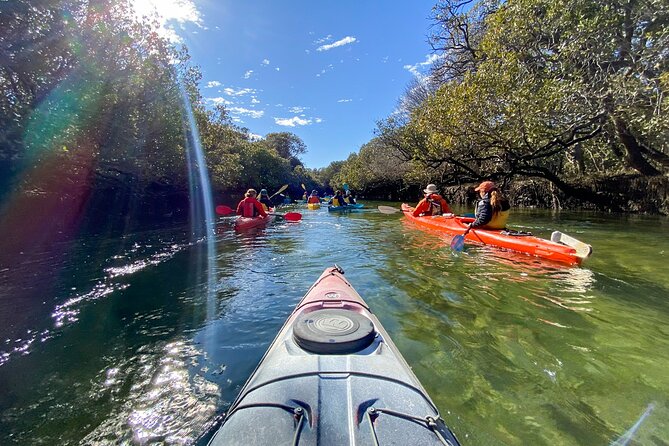 Adelaide Dolphin Sanctuary and Ships Graveyard Kayak Tour - Starting at Adventure Kayaking SA