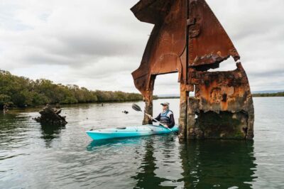 Dolphin Sanctuary Eco Kayaking Tour