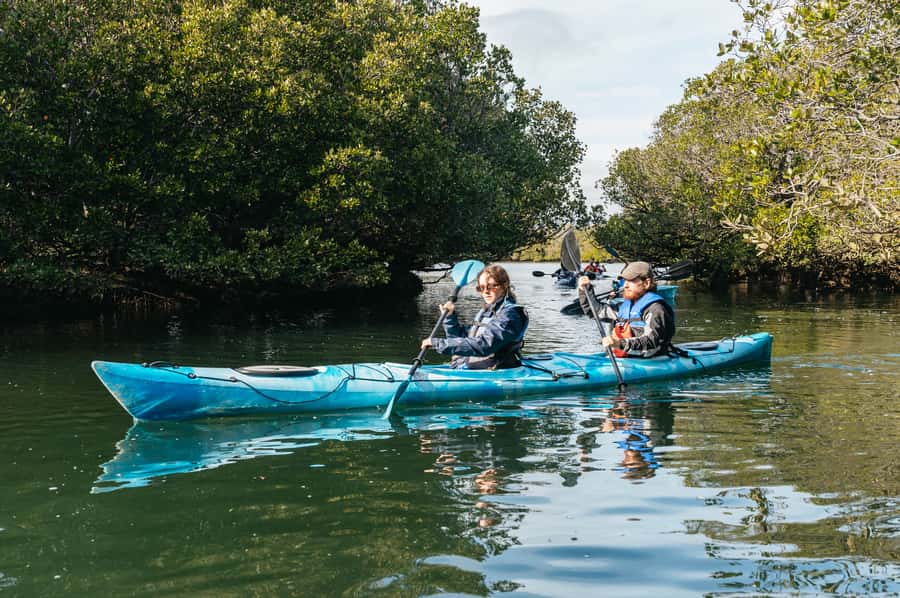 Adelaide: Dolphin Sanctuary Eco Kayaking Tour - Old shipwrecks and a route shaped by the tide