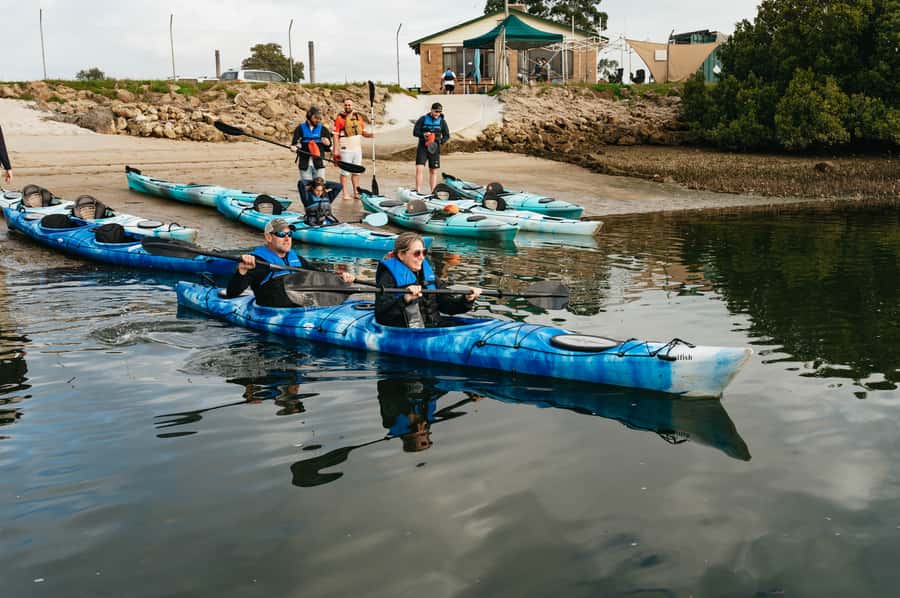 Adelaide: Dolphin Sanctuary Eco Kayaking Tour - What the guides add to the outing