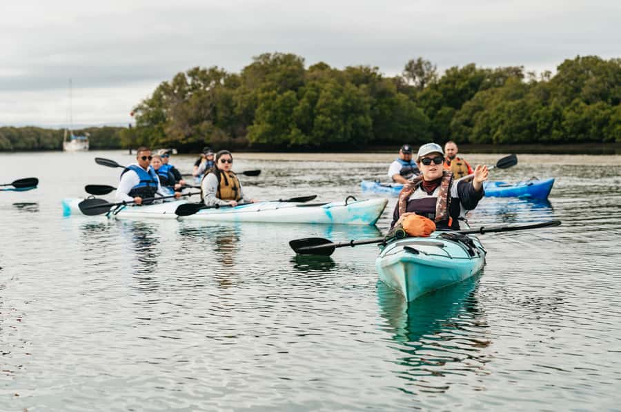 Adelaide: Dolphin Sanctuary Eco Kayaking Tour - Is the $55 price good value?