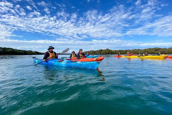 Adelaide Dolphin Sanctuary Mangroves Kayaking Tour - Why the Adelaide Dolphin Sanctuary feels different