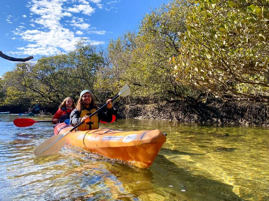 Adelaide: Dolphin Sanctuary Single or Double Kayak Rental - Key points to know before you paddle