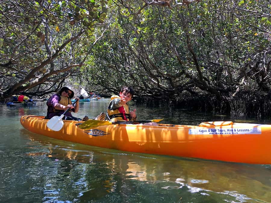Adelaide: Dolphin Sanctuary Single or Double Kayak Rental - Why kayak Adelaide’s Dolphin Sanctuary?
