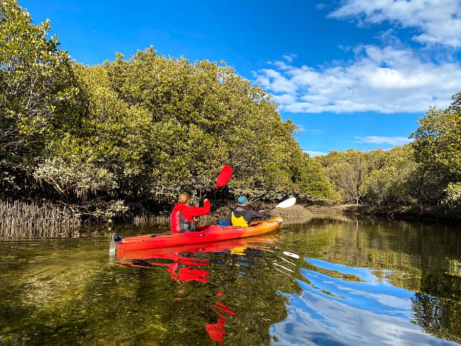 Adelaide: Dolphin Sanctuary Single or Double Kayak Rental - Is two hours enough?