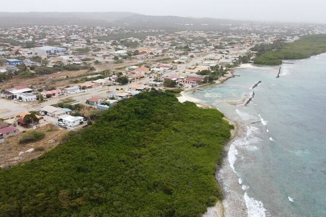 Adventure Kayak & Snorkeling at Reef Island Aruba - Who will get the most from this outing