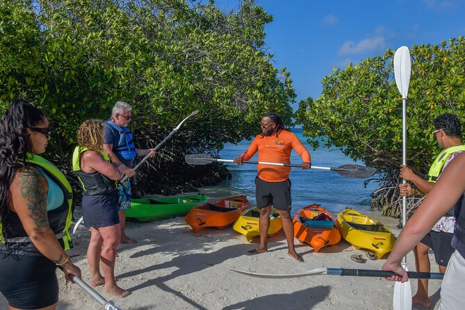 Adventurous Clear Kayak And Snorkeling Tour At Mangel Halto - Who will enjoy this most