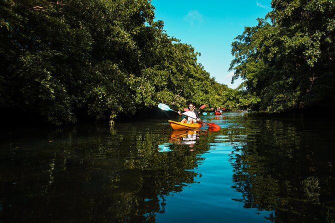 Afternoon Guided Kayak Tour on the Tamarin River - A quiet way to see Tamarin from the water