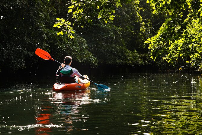 Afternoon Guided Kayak Tour on the Tamarin River - How much activity do you get for $48.85?