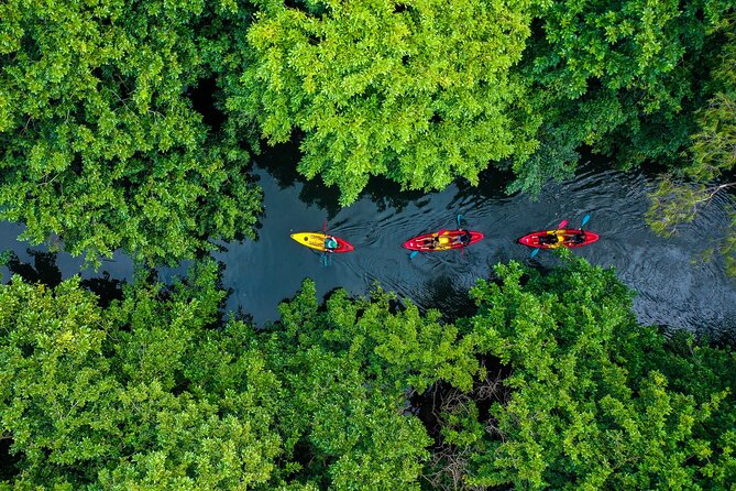 Afternoon Guided Kayak Tour on the Tamarin River - The 1:30 pm launch and the first stretch of river