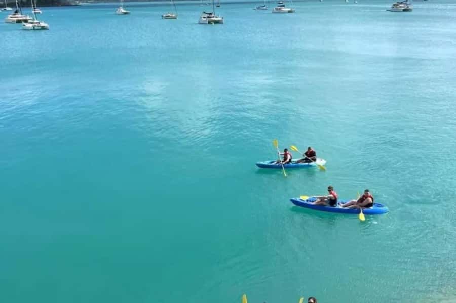 Airlie Beach: Half Day Turtle Tour Sea Kayaking Adventure - Looking for turtles and coastal birds