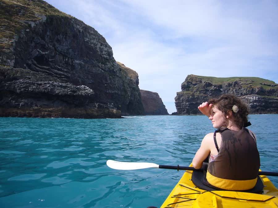 Akaroa: 4WD Safari and Guided Sea-Kayaking Experience - Wildlife from the water