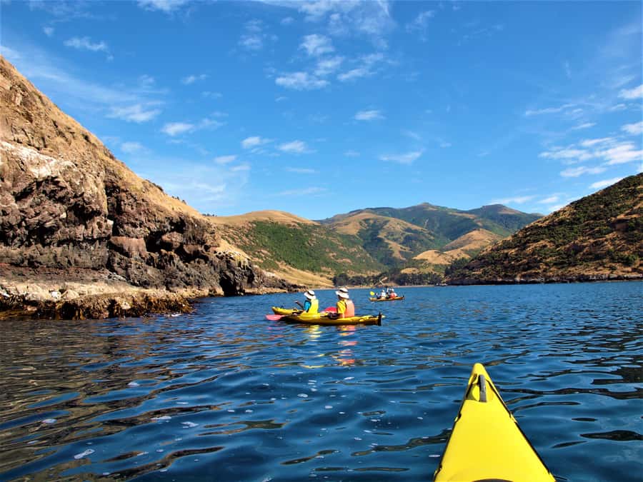 Akaroa: 4WD Safari and Guided Sea-Kayaking Experience - Guides who add meaning to the trip