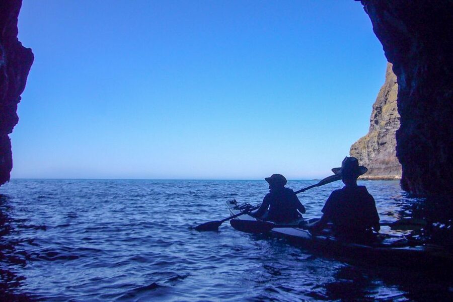 Akaroa: 4WD Safari and Guided Sea-Kayaking Experience - Morning or afternoon departure?