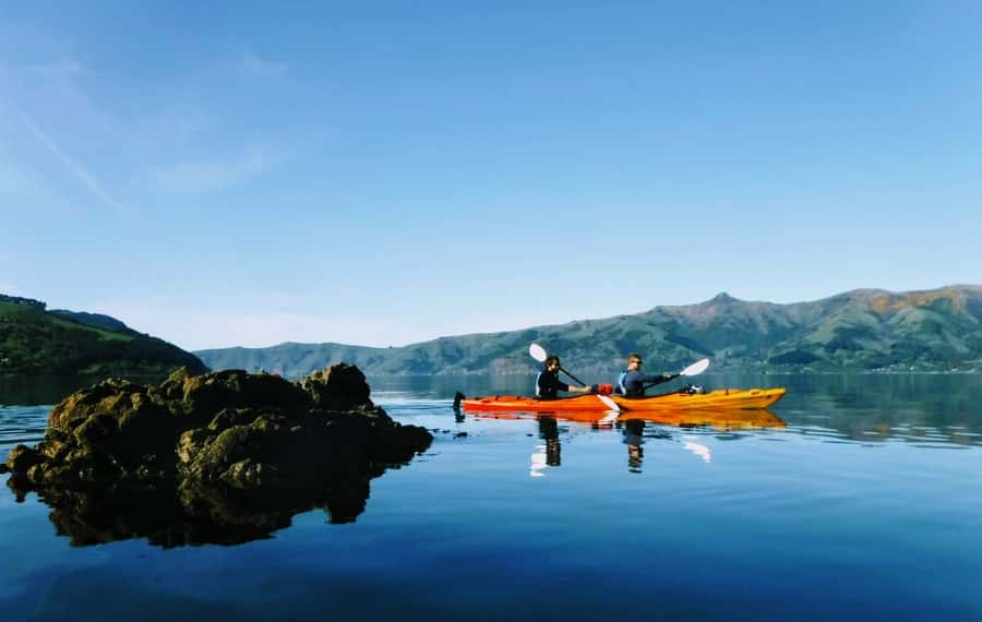 Akaroa: Akaroa Marine Reserve Sea Kayaking Tour - Key points at a glance