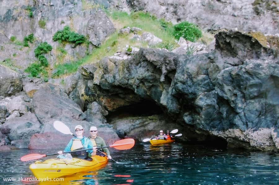 Akaroa: Akaroa Marine Reserve Sea Kayaking Tour - Is $80 good value?