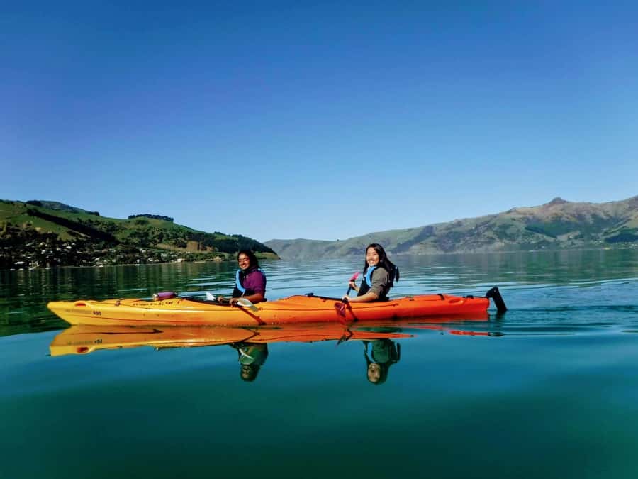 Akaroa: Akaroa Marine Reserve Sea Kayaking Tour - Why Akaroa Harbour is made for a kayak trip