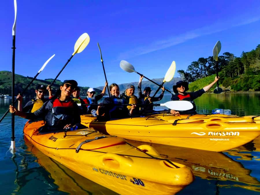 Akaroa: Akaroa Marine Reserve Sea Kayaking Tour - Following the harbour into quiet bays