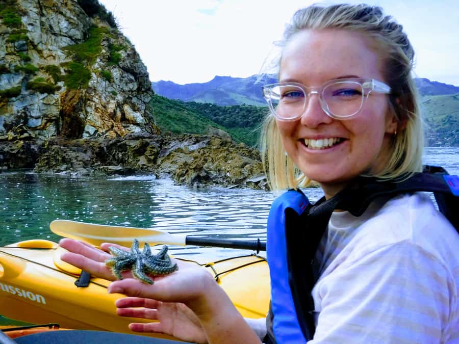 Akaroa: Akaroa Marine Reserve Sea Kayaking Tour - What the guides add to the experience
