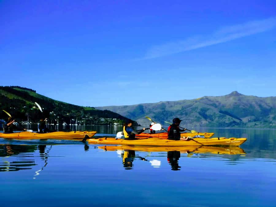 Akaroa: Akaroa Marine Reserve Sea Kayaking Tour - Wind, waves, and the fitness question