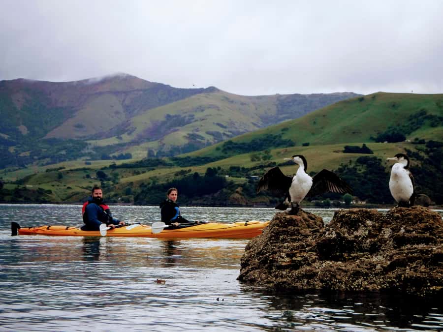 Akaroa: Akaroa Marine Reserve Sea Kayaking Tour - Meeting the guide beside the bowling club