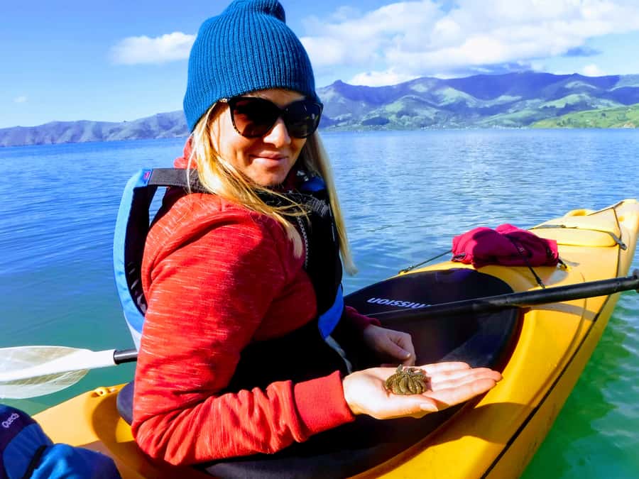 Akaroa: Guided Sunrise Sea Kayaking Tour - Key points to know before you book