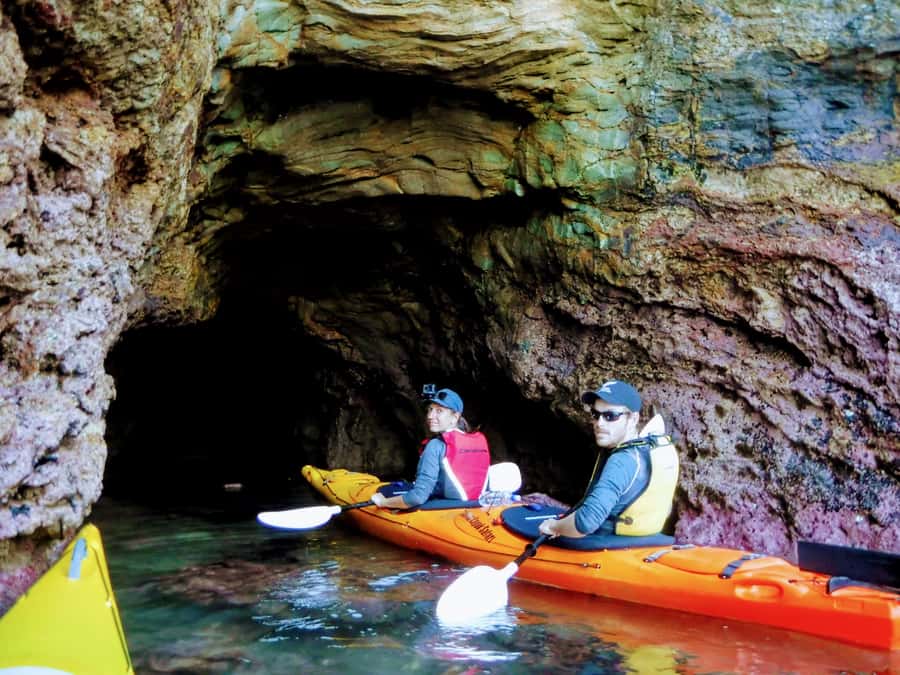 Akaroa: Guided Sunrise Sea Kayaking Tour - What the nature guide adds