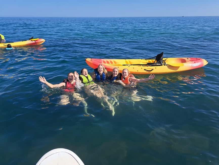 Albufeira: Hidden Beaches & Cliffs Guided Kayak Cave Tour - Passing Praia da Coelha and Ninho das Andorinhas