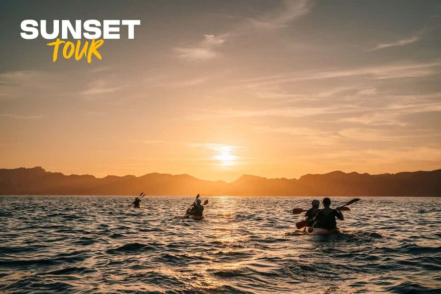 Alcudia: Kayak Tour with Snorkel & Sea Cave Swim - Key points to know before you book