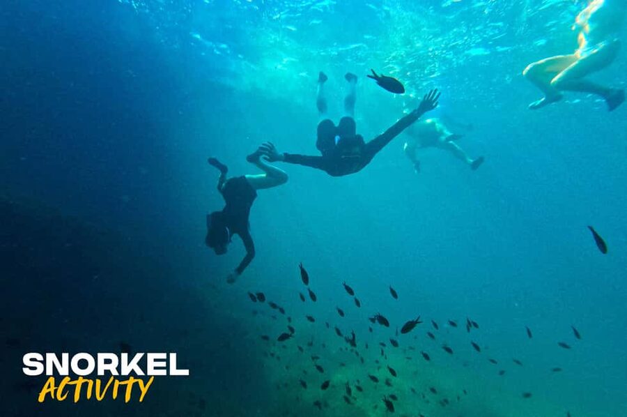 Alcudia: Kayak Tour with Snorkel & Sea Cave Swim - What this Alcudia kayak tour is really like