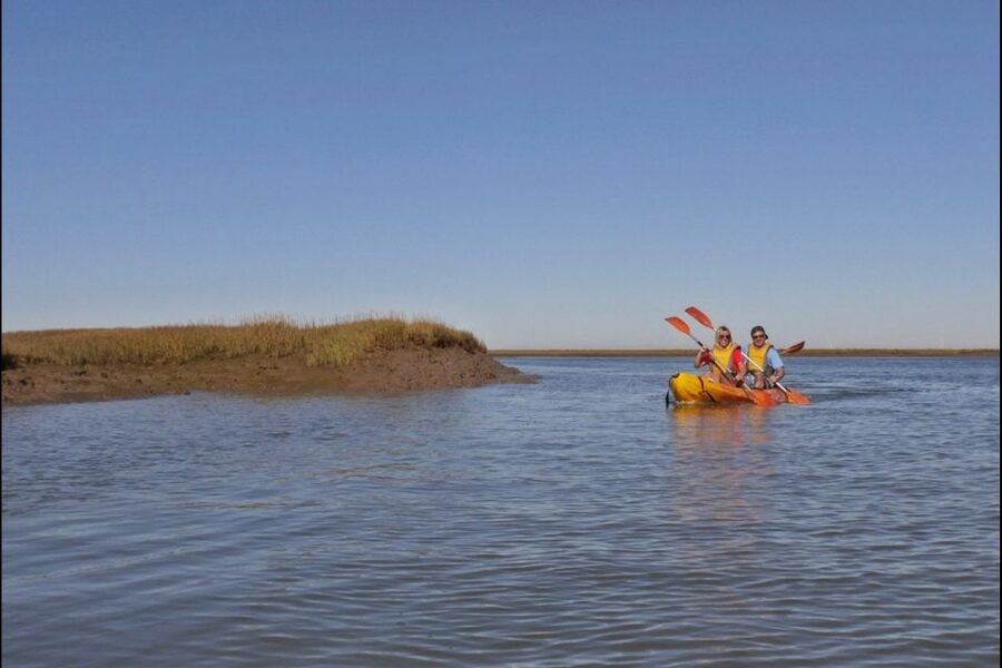 Algarve: 2-Hour Ria Formosa Kayak Tour from Faro - Key points to know before you paddle