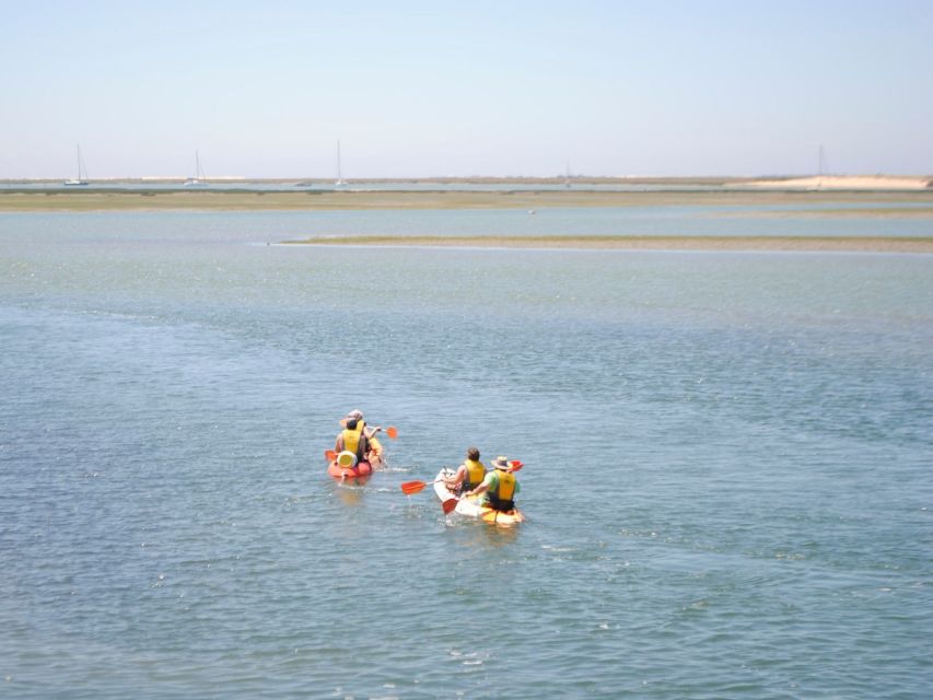 Algarve: 2-Hour Ria Formosa Kayak Tour from Faro - Paddling through the Ria Formosa